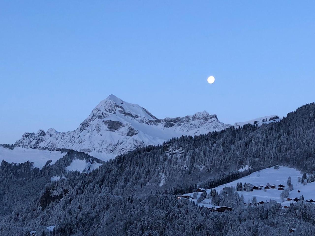 Chalet Nanook 圣母贝莱克 外观 照片