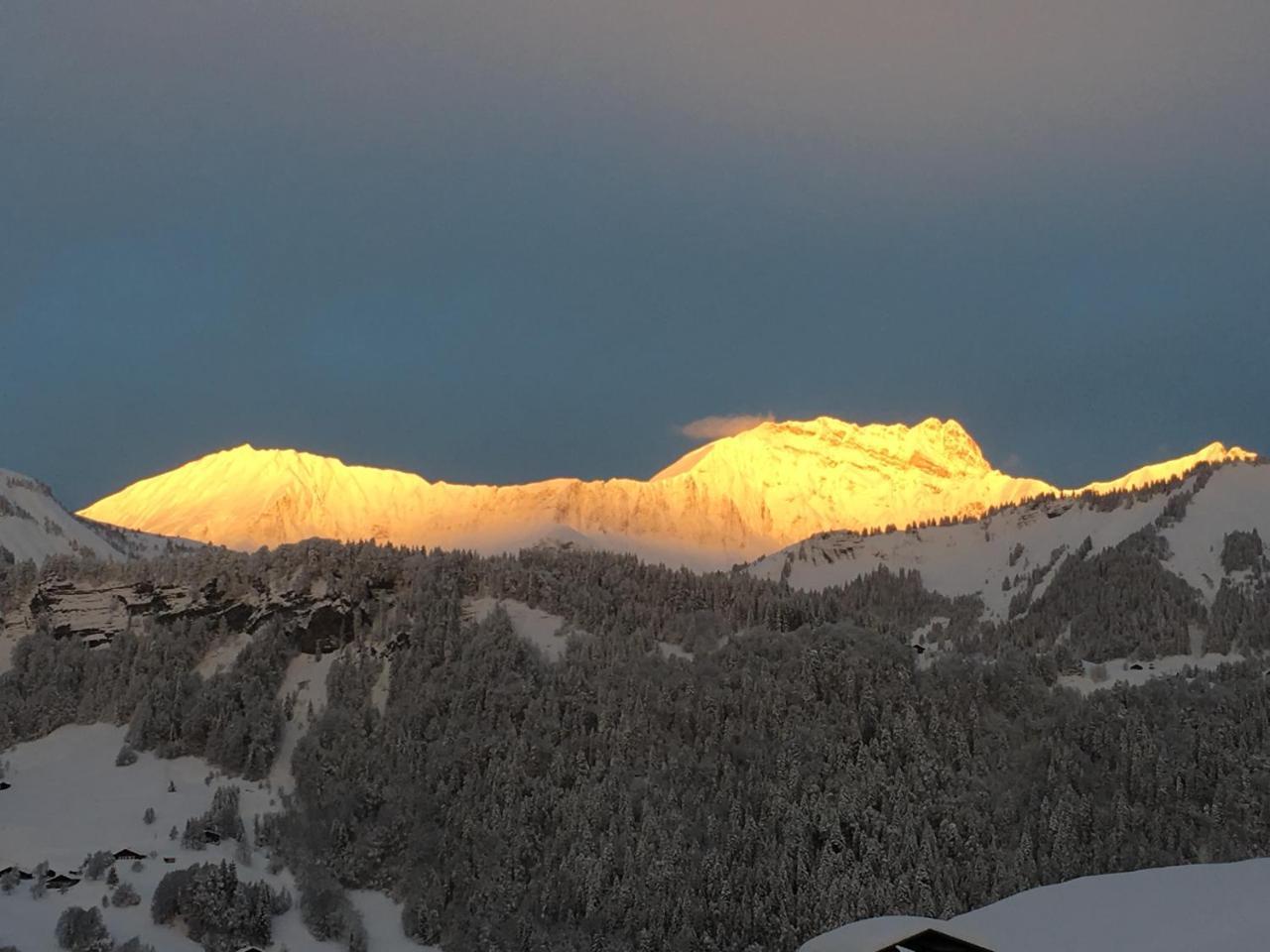 Chalet Nanook 圣母贝莱克 外观 照片